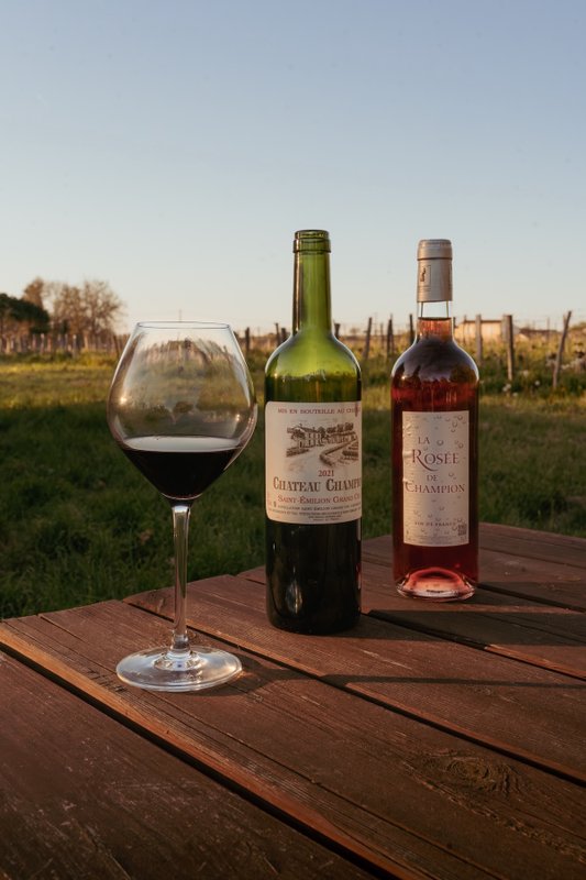 Parcel Tiny House - dans les vignes de Saint-Émilion  proche Bordeaux à Saint-Émilion (13)