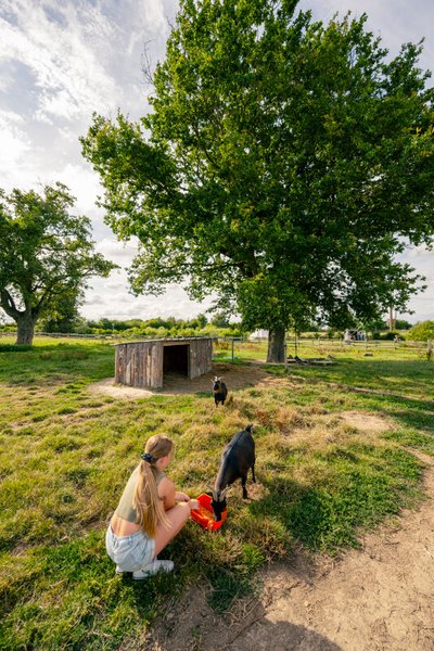 Hébergement AbracadaRoom : Pod - Sous les chênes & Spa - Image 10