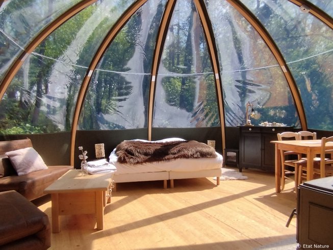 Hébergement AbracadaRoom : La Bulle  forestière Etat Nature - Image 3