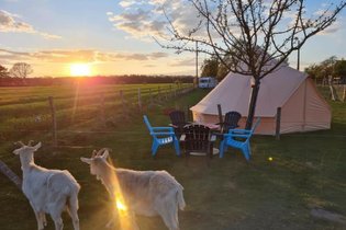 Caraferme et compagnie