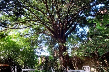 Manoir de Laroque Delprat - L'Escale Mauricienne à Autoire (4)