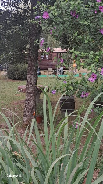 Hébergement AbracadaRoom : La roulotte au bord de l'étang - Image 7