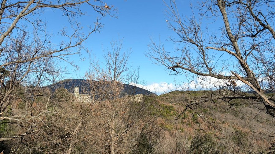 Domaine AbracadaRoom : Tiny house Murato - Image 21