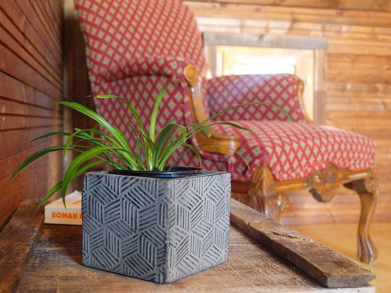 Hébergement AbracadaRoom : Tente Origan - Image 5