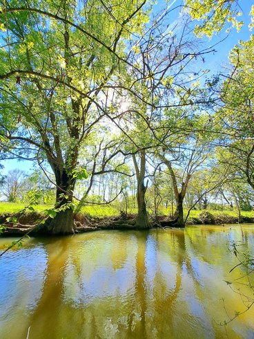 Domaine AbracadaRoom : Le Moulin Etourneau - Image 6