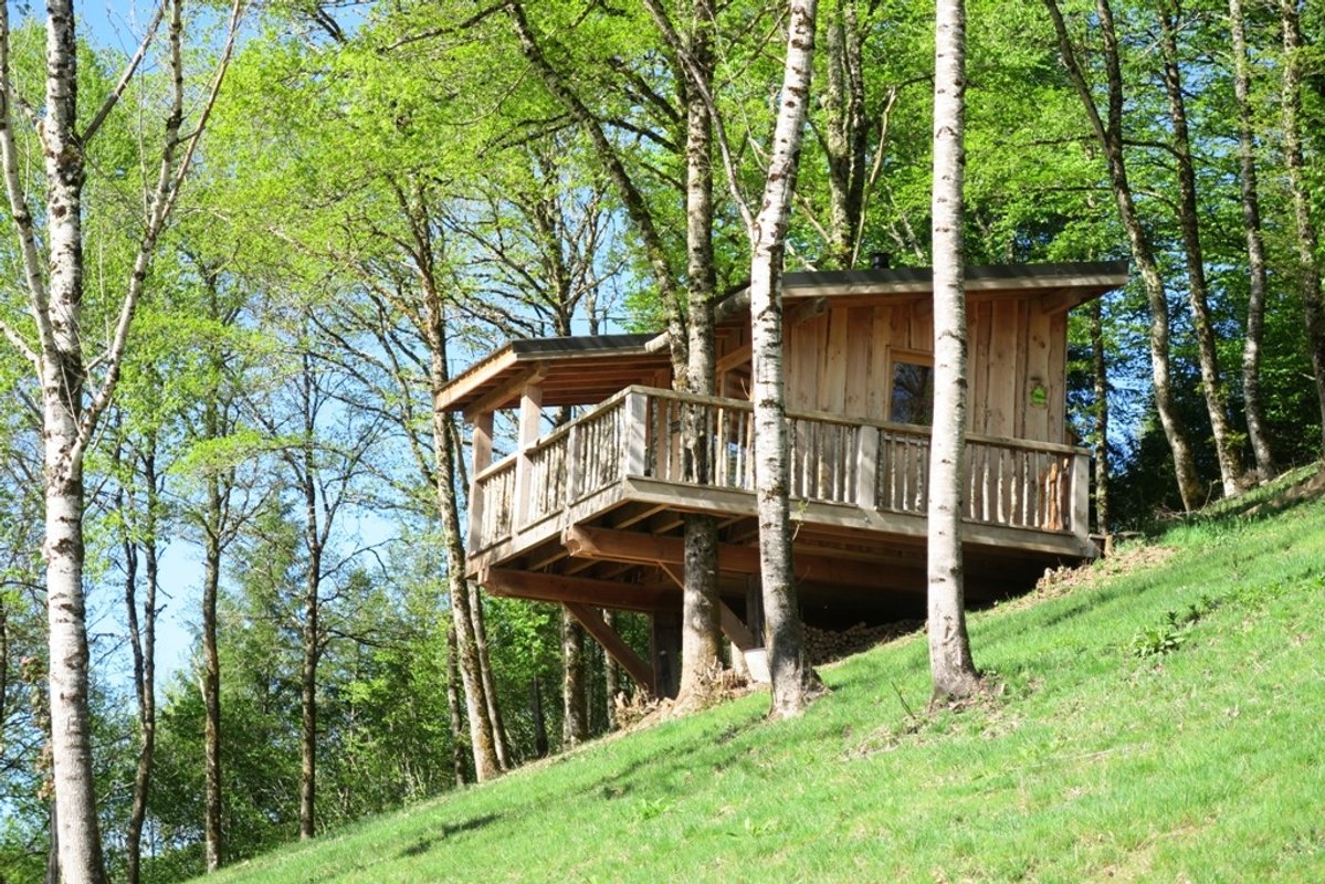 Cabane Tilleul à Singles (2)