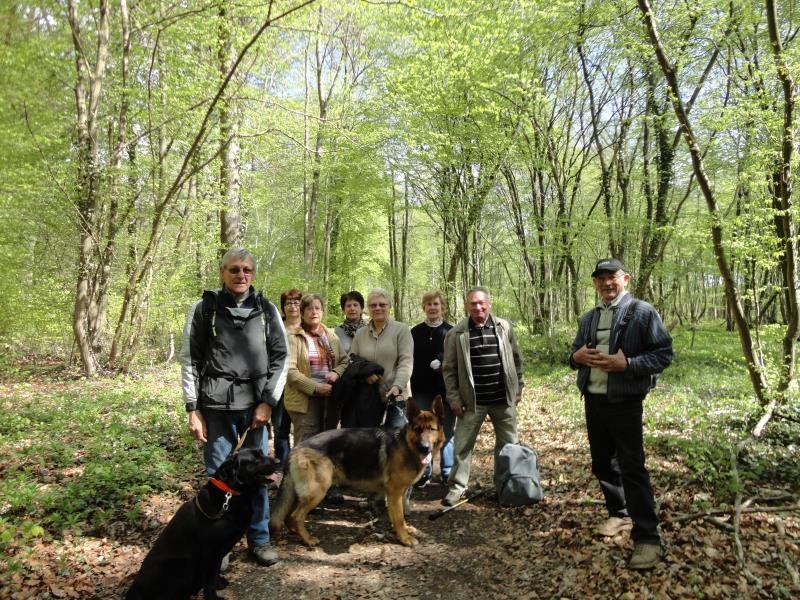 Domaine AbracadaRoom : Les Etangs du Moulin - Image 4