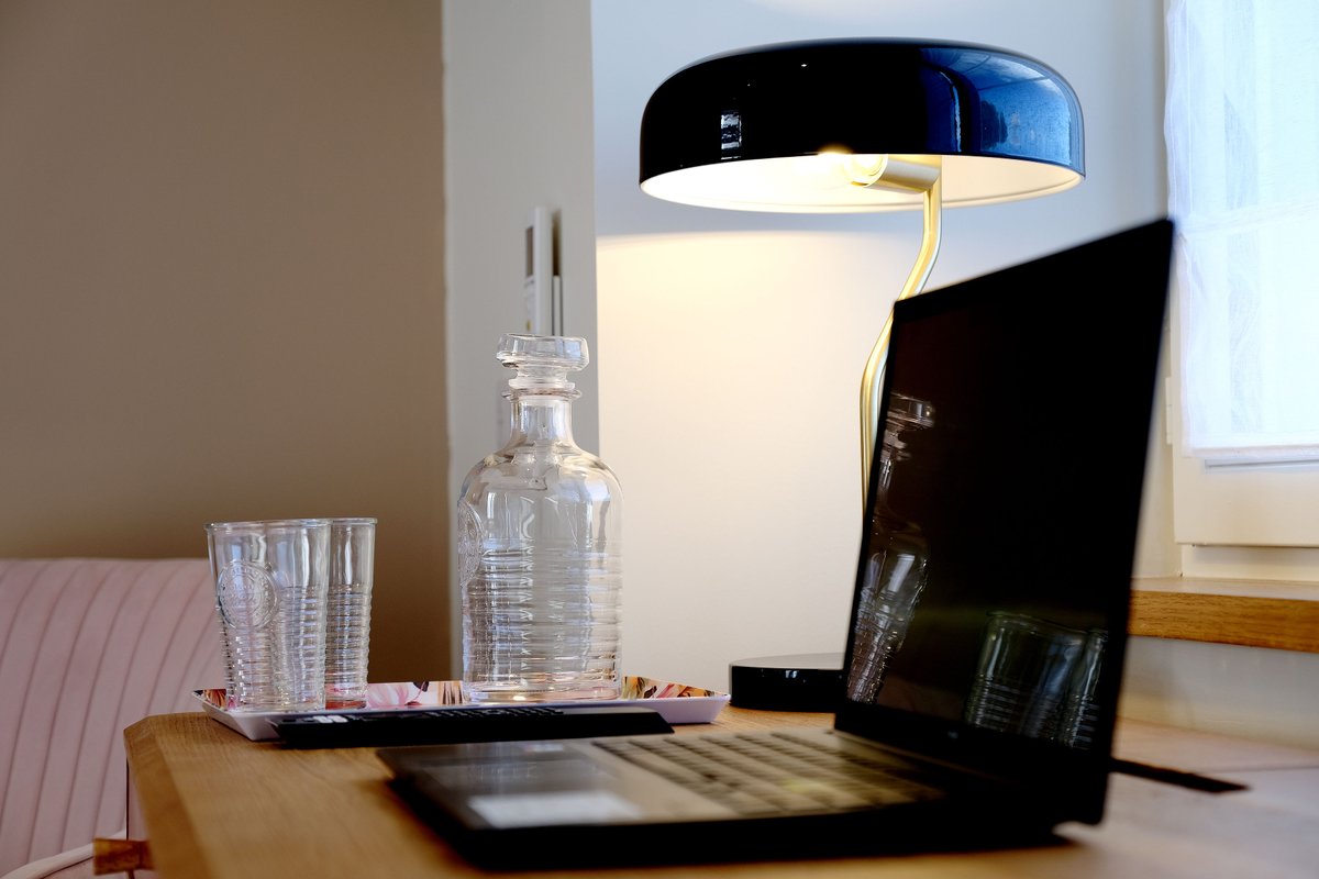 La Maraichine à Charron (3)