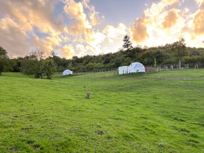 Hébergement AbracadaRoom : Dôme Ortense - Image 6