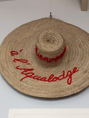 Hébergement AbracadaRoom : Aqua Lodge le Rêve flottant Les Saintes - Image 20