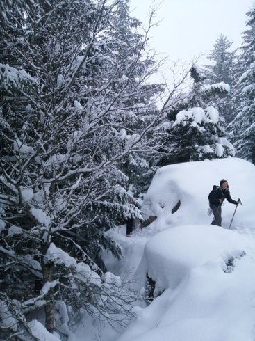 Hébergement AbracadaRoom : Igloo en formule tout inclus ! - Image 23