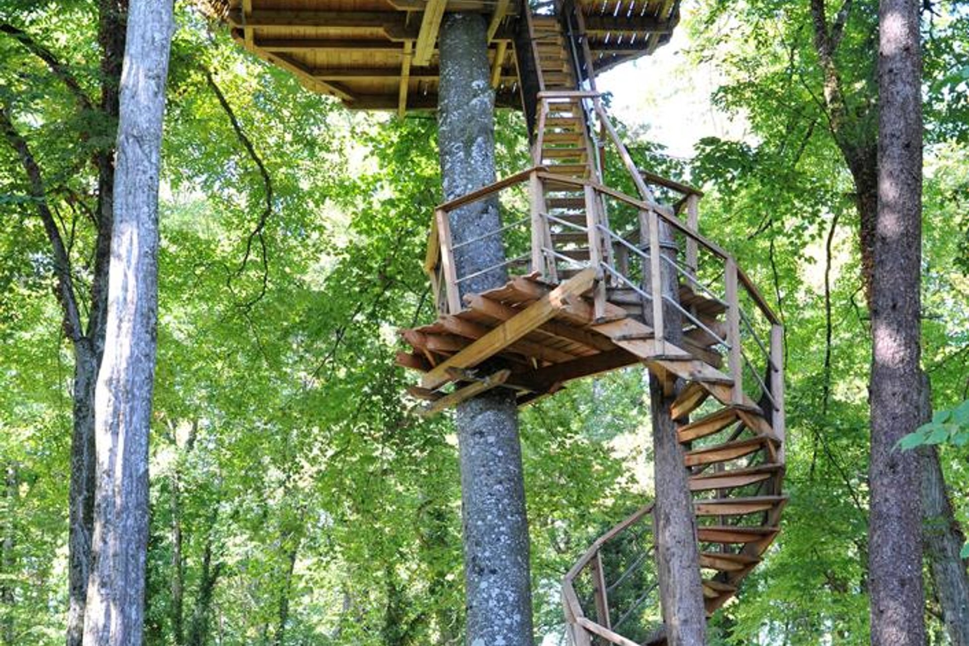 acces-escalier-lemuriens-cabane-belle