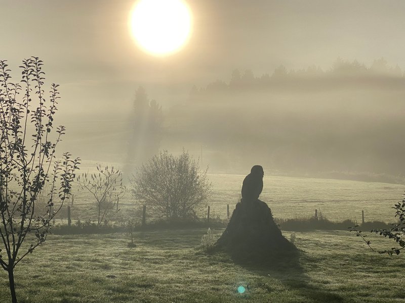 Hébergement AbracadaRoom : La roulotte du verger - Image 19