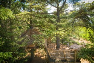 Domaine St-Jean de l'Arbousier