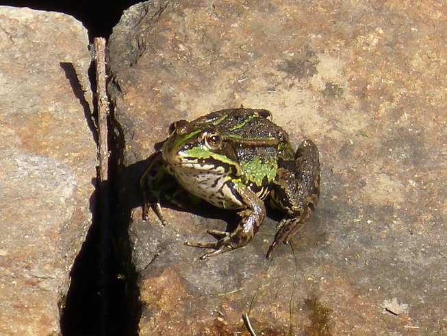 Domaine AbracadaRoom : La Croix Saint Louis - Image 6