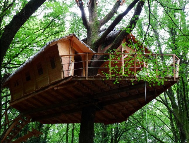 Hébergement AbracadaRoom : Clairière - Image 1