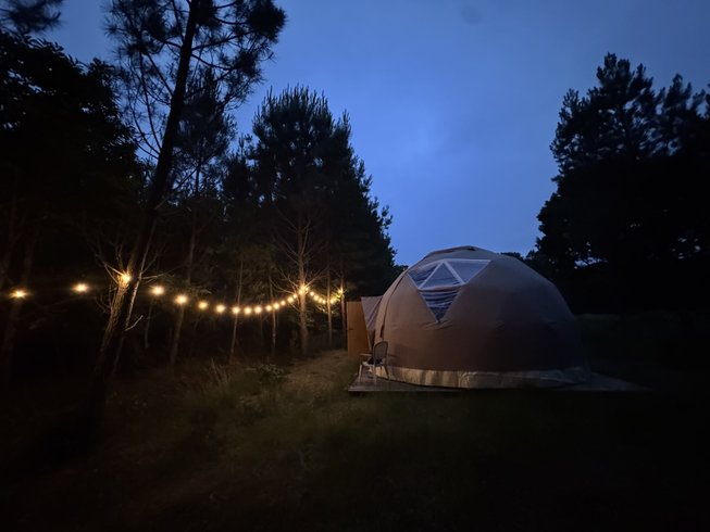 Domaine AbracadaRoom : Dôme en forêt Landaise - Image 11