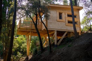 Cabane sur pilotis Aude
