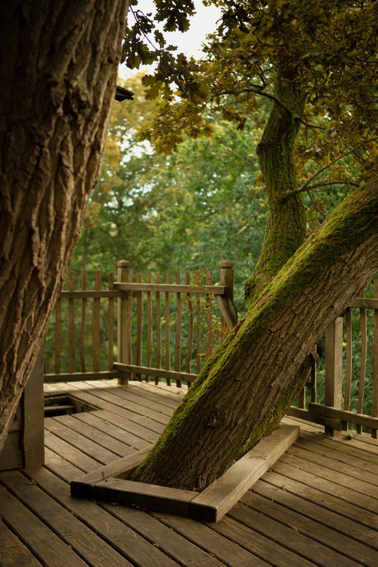 Cabanes Duo dans les Arbres à Raray (9)