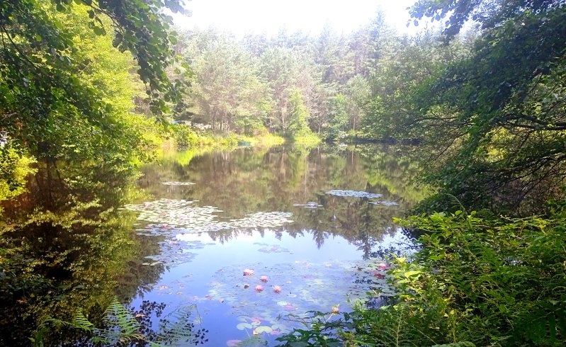 Domaine AbracadaRoom : Le bois des Nenuphars-Gite insolite - Image 4