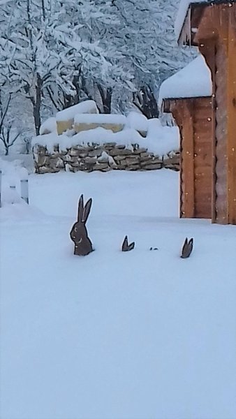 Hébergement AbracadaRoom : Gîte les Lapinous Kota & Spa & Sauna privatifs - Image 12