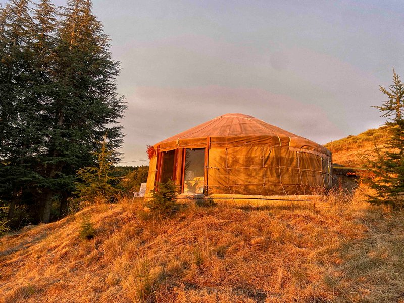 Hébergement AbracadaRoom : La Yourte et son Chalet - Image 36