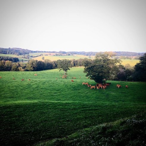 Domaine AbracadaRoom : Domaine Les Filloux - Image 11