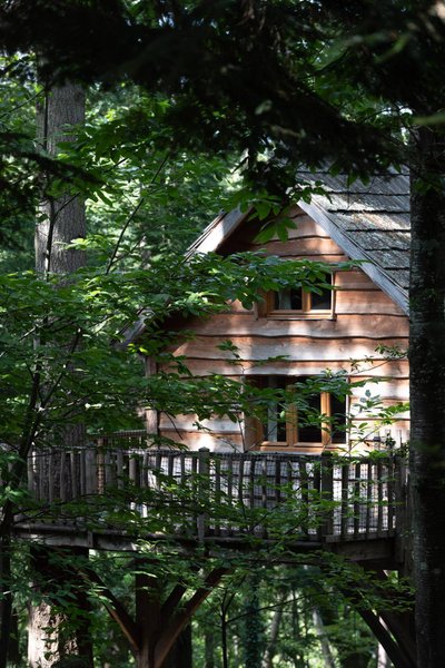 Hébergement AbracadaRoom : Cabane Ours - Image 4