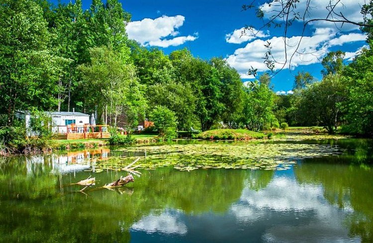 Hébergement AbracadaRoom : La Cabane du Héron, lodge sur pilotis, étang, nature, biodiversité - Image 20