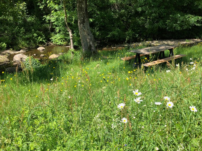 Hébergement AbracadaRoom : Hidden Dome in nature - Image 9