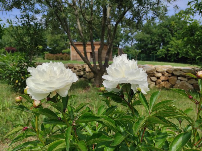 Domaine AbracadaRoom : Mas Lauralie - Image 4