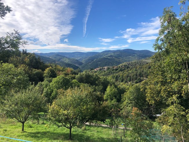 Domaine AbracadaRoom : Par les monts étoilés - Image 1