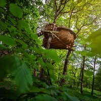 Toute l'équipe Vit Tel Ta Nature