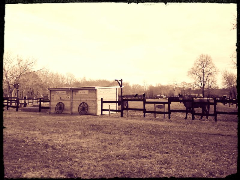 Domaine AbracadaRoom : Le Ranch Amadeus - Image 9