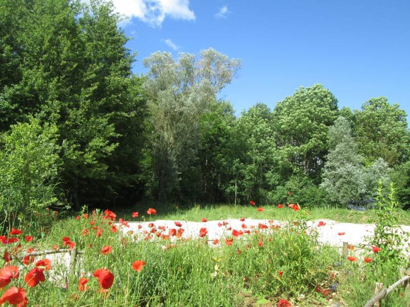 Domaine AbracadaRoom : Fuste des Garceaux - Image 7