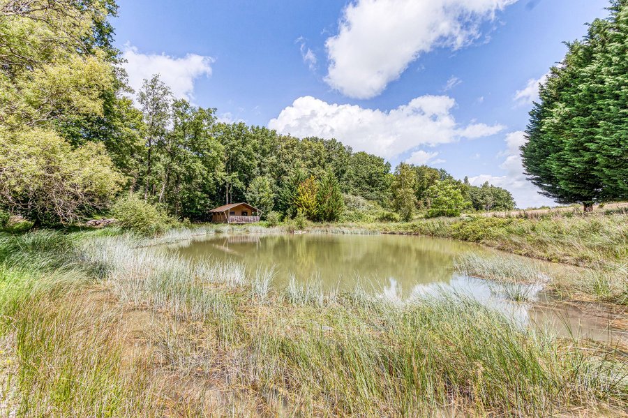 Hébergement AbracadaRoom : Le Lodge Spa de l'étang - Image 4