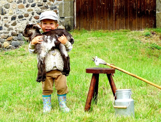 Hébergement AbracadaRoom : Yourte Immersion Nature - Image 9