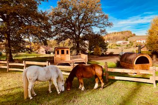 Ma Roulotte  "La Passionnée"