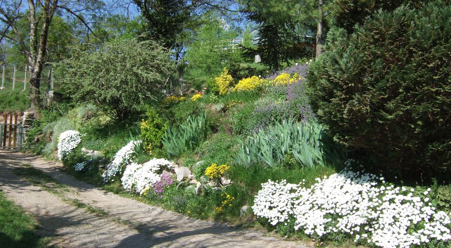 Hébergement AbracadaRoom : 2 Yourtes nature, demi-pension - Image 34