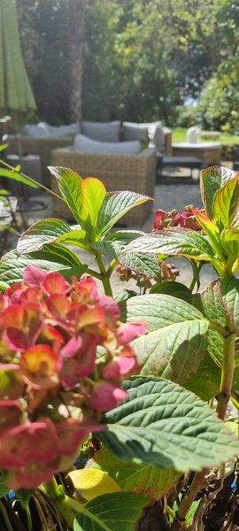 Domaine AbracadaRoom : Gite La Petite Clavelie - Image 7