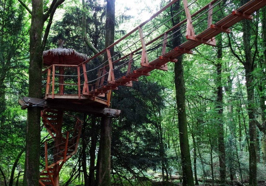 Hébergement AbracadaRoom : Clairière - Image 7