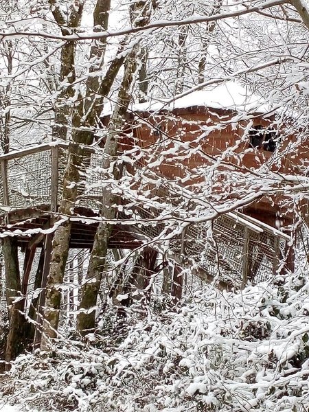 Hébergement AbracadaRoom : la Cabane le Petit Toit du Monde - Image 7