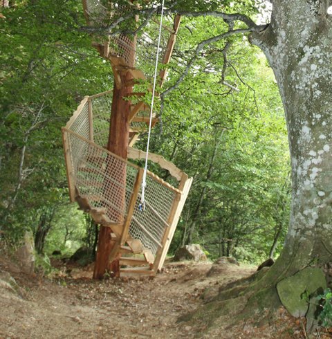Hébergement AbracadaRoom : Migrateur - Image 2