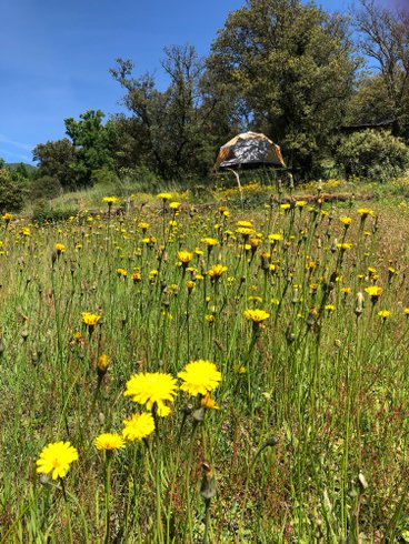 Hébergement AbracadaRoom : Le luxe champêtre d'un Géodôme en châtaignier - Image 11