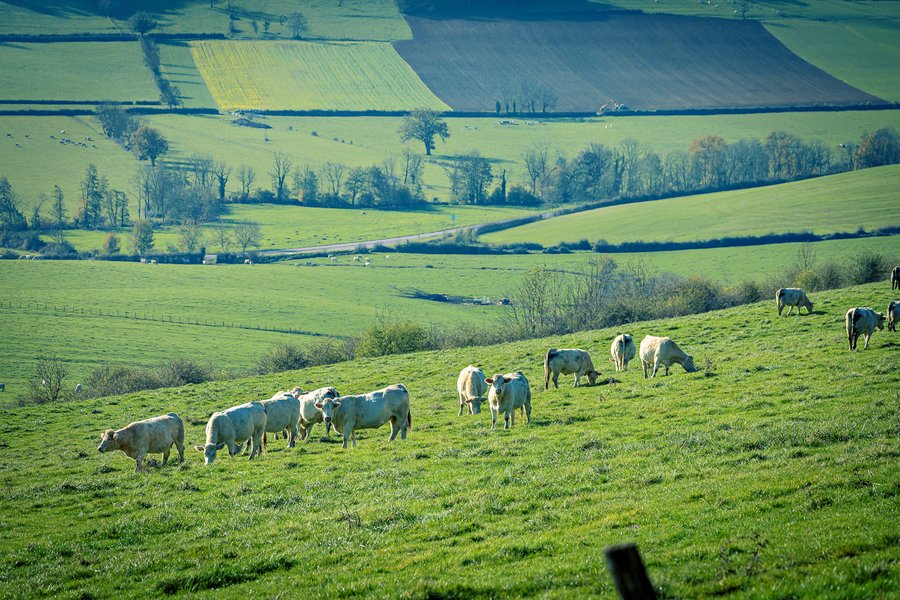 Domaine AbracadaRoom : Sãmo Lodges - Image 10