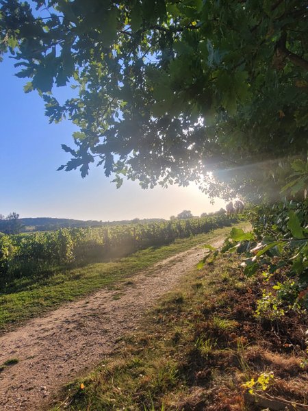 Domaine AbracadaRoom : Le Dôme du Lac de la Cadie - Image 4