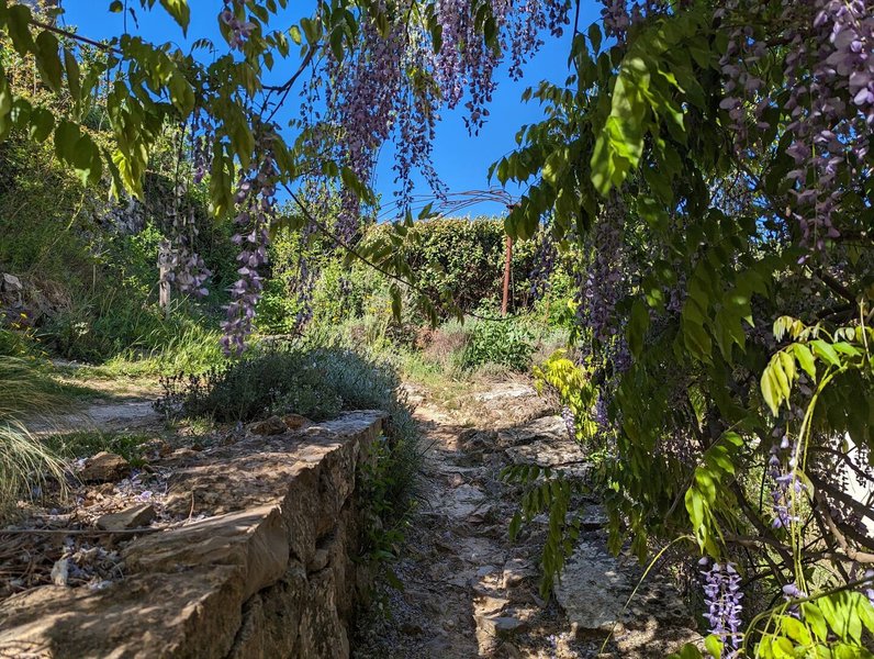 Domaine AbracadaRoom : La mauvaise herbe - Image 20