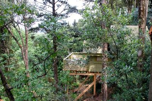 Les Cabanes dans les bois