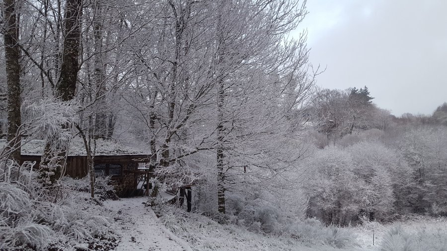 Domaine AbracadaRoom : La ferme des histoires mélangées - Image 6