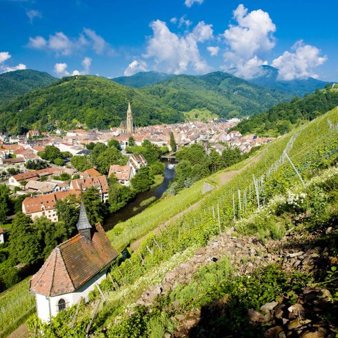 Domaine AbracadaRoom : Huttopia Wattwiller - Image 1